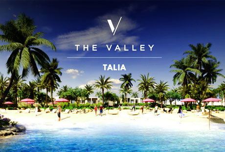 The Vally